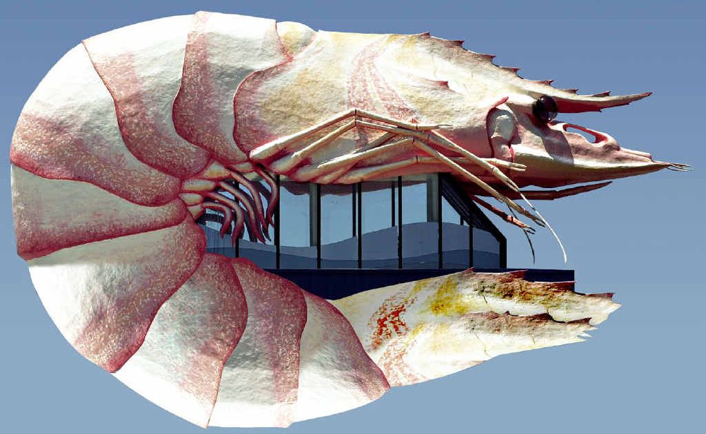 MAKEOVER: Bunnings is going to paint the Big Prawn and put a tail on it as part of a long-awaited makeover. MAKEOVER: Bunnings is going to paint the Big Prawn and put a tail on it as part of a long-awaited makeover.